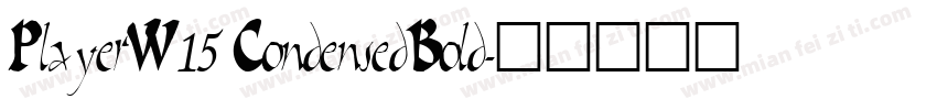 PlayerW15 CondensedBold字体转换